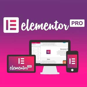 Elementor Pro